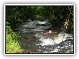 ... e os riachos, que em alguns pontos permitem repousantes e terapêuticas submersões!