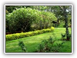 ... ou, quem sabe, já preparar aqui nossos olhos para melhor contemplarmos depois, os jardins do verdadeiro Jardineiro.